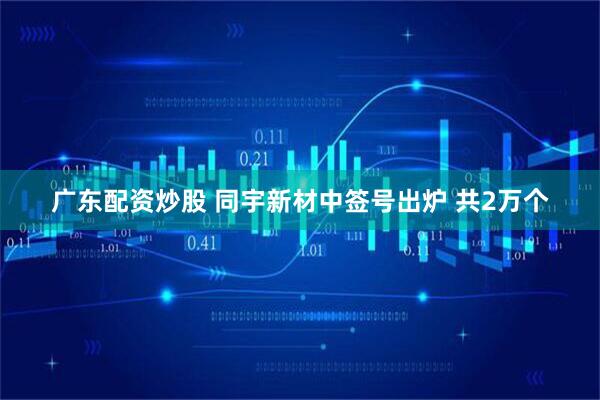 广东配资炒股 同宇新材中签号出炉 共2万个