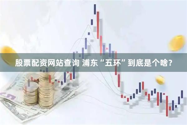 股票配资网站查询 浦东“五环”到底是个啥？