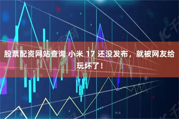 股票配资网站查询 小米 17 还没发布，就被网友给玩坏了！
